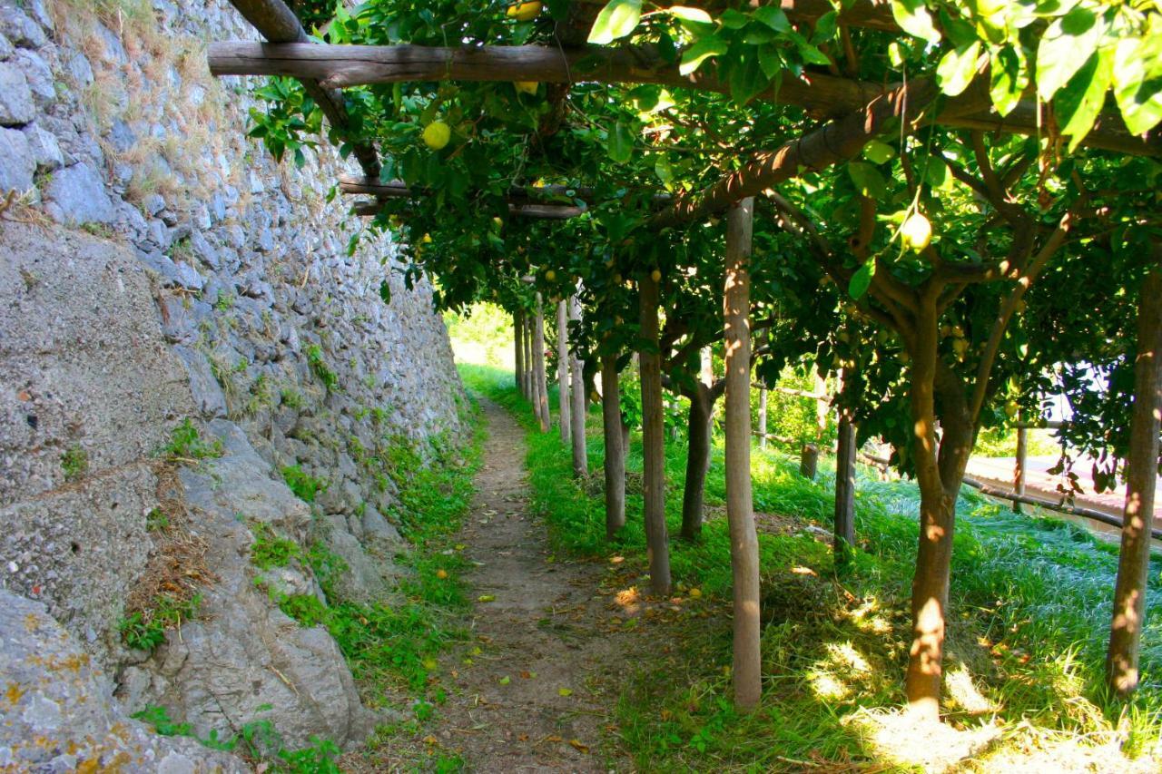 The Guardian Of Amalfi Villa Eksteriør billede